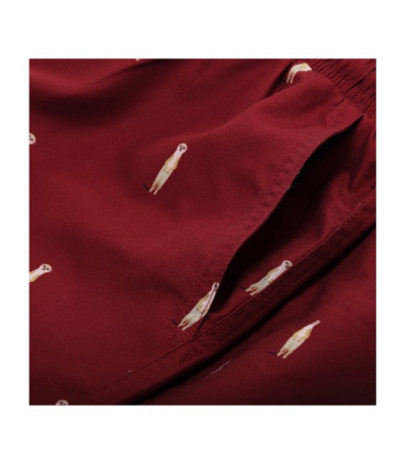 Narwal Swim Trunk - Meerkat