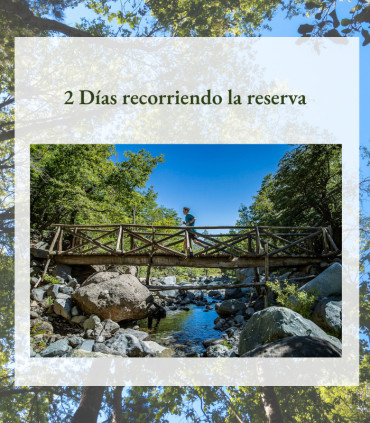 Visita Altos de Lircay + Viña Montes - 3 días