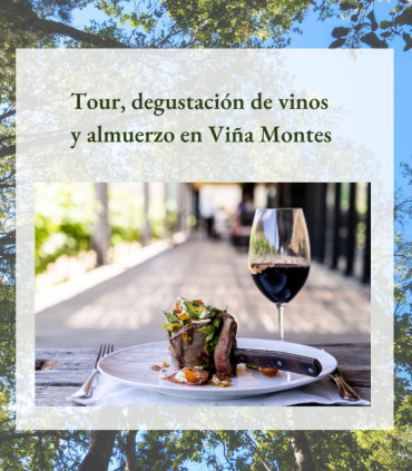 Visita Altos de Lircay + Viña Montes - 3 días