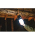 Linterna de Camping Recargable - Madrona+