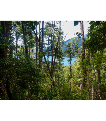 Travesía Puelo - El Bolsón + Tagua Tagua