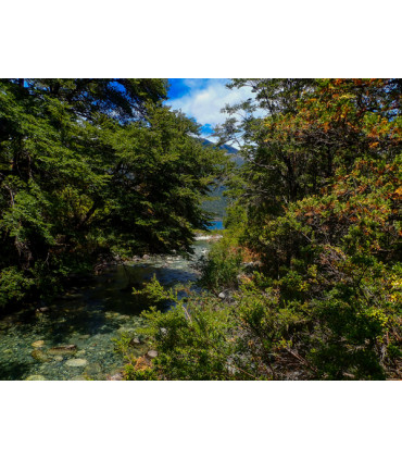 Travesía Puelo - El Bolsón + Tagua Tagua