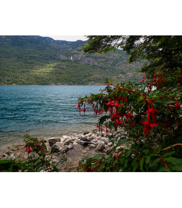 Travesía Puelo - El Bolsón + Tagua Tagua