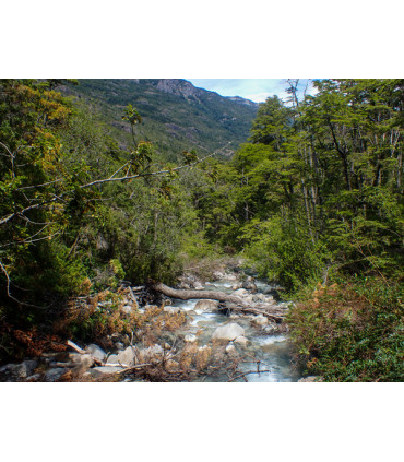 Travesía Puelo - El Bolsón + Tagua Tagua