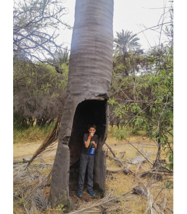 Travesía Parque La Campana: De Olmué a Ocoa