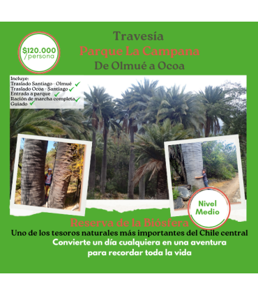Travesía Parque La Campana: De Olmué a Ocoa