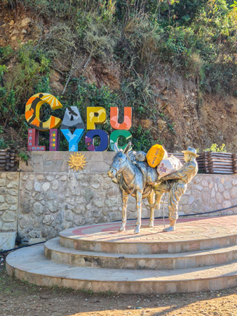 Capuliyoc