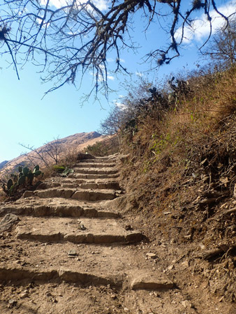 Escalones sendero a Capuliyoc