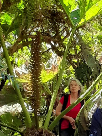 Claudia bajo nalca