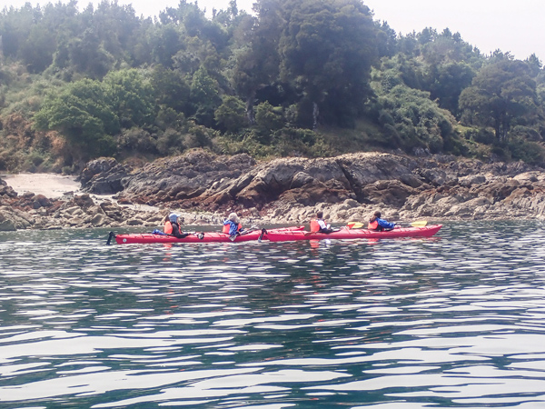Isla Ica