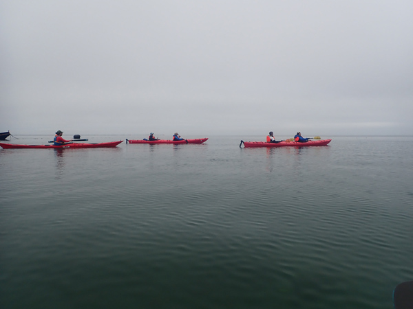 Kayak en la brumo