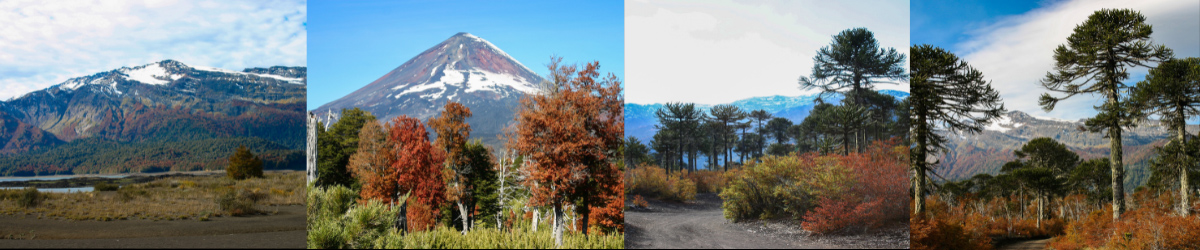 Malalcahuello Otoño