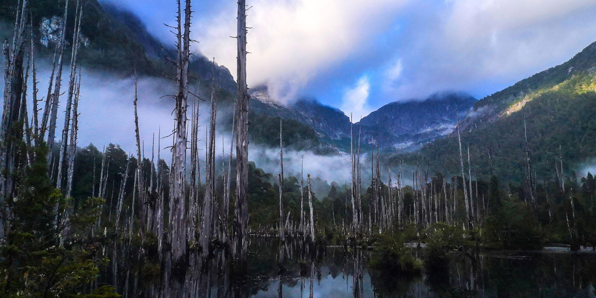 Laguna Alerce