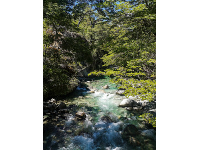 La Cuenca del Río Puelo, un rincón escondido de la Patagonia