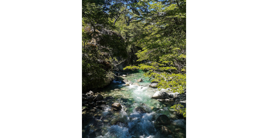 La Cuenca del Río Puelo, un rincón escondido de la Patagonia