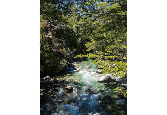La Cuenca del Río Puelo, un rincón escondido de la Patagonia