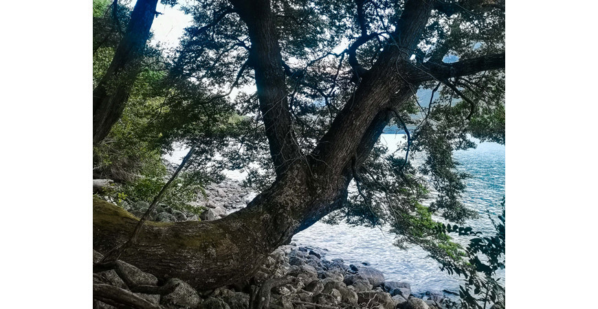 La Cuenca del Río Puelo, un rincón escondido de la Patagonia