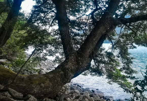 La Cuenca del Río Puelo, un rincón escondido de la Patagonia