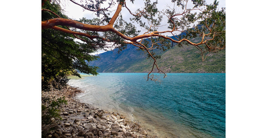 La Cuenca del Río Puelo, un rincón escondido de la Patagonia