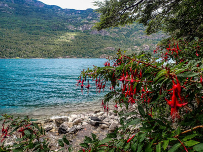 La Cuenca del Río Puelo, un rincón escondido de la Patagonia