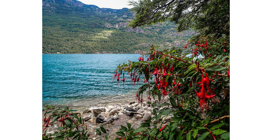 La Cuenca del Río Puelo, un rincón escondido de la Patagonia