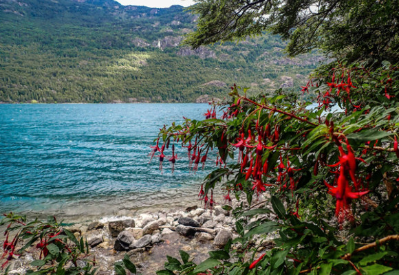 La Cuenca del Río Puelo, un rincón escondido de la Patagonia
