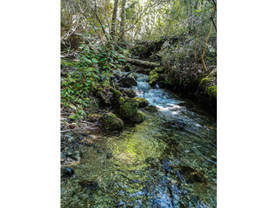 La Cuenca del Río Puelo, un rincón escondido de la Patagonia