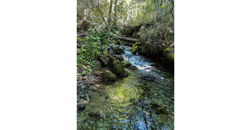 La Cuenca del Río Puelo, un rincón escondido de la Patagonia
