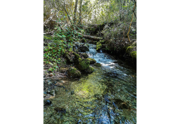 La Cuenca del Río Puelo, un rincón escondido de la Patagonia