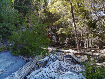 La Cuenca del Río Puelo, un rincón escondido de la Patagonia