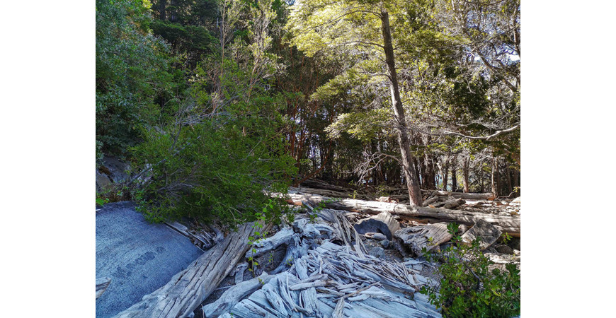 La Cuenca del Río Puelo, un rincón escondido de la Patagonia