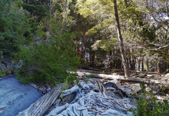 La Cuenca del Río Puelo, un rincón escondido de la Patagonia