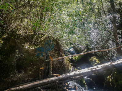 La Cuenca del Río Puelo, un rincón escondido de la Patagonia