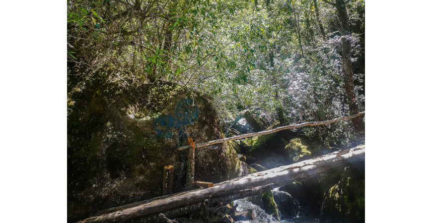 La Cuenca del Río Puelo, un rincón escondido de la Patagonia