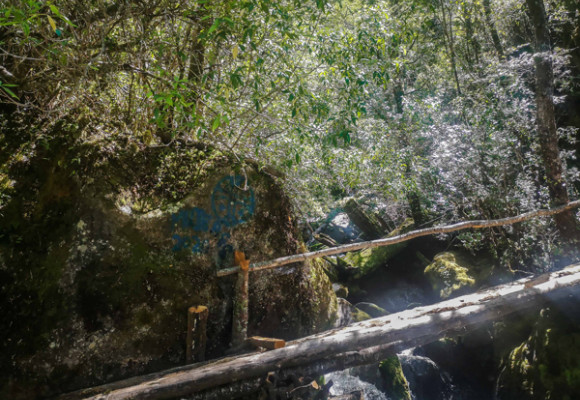 La Cuenca del Río Puelo, un rincón escondido de la Patagonia