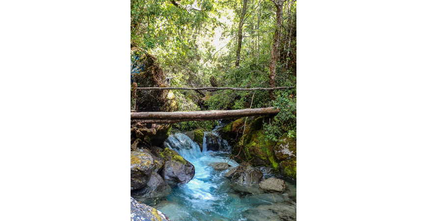 La Cuenca del Río Puelo, un rincón escondido de la Patagonia