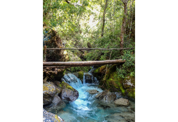 La Cuenca del Río Puelo, un rincón escondido de la Patagonia