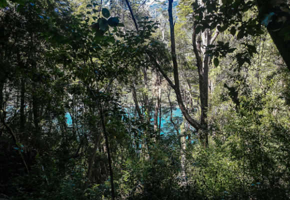 La Cuenca del Río Puelo, un rincón escondido de la Patagonia