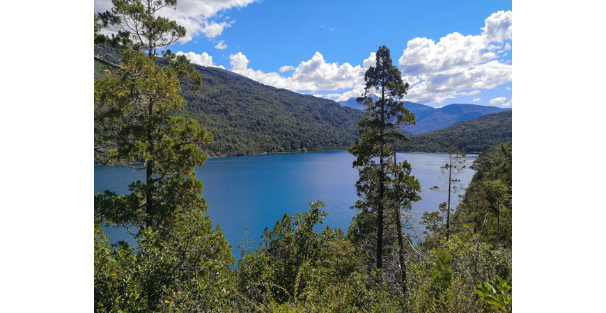 La Cuenca del Río Puelo, un rincón escondido de la Patagonia