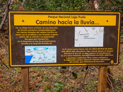 La Cuenca del Río Puelo, un rincón escondido de la Patagonia