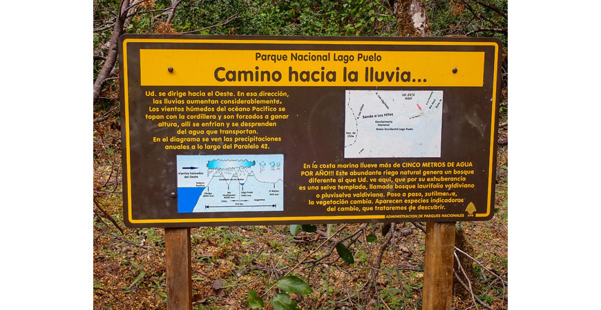 La Cuenca del Río Puelo, un rincón escondido de la Patagonia