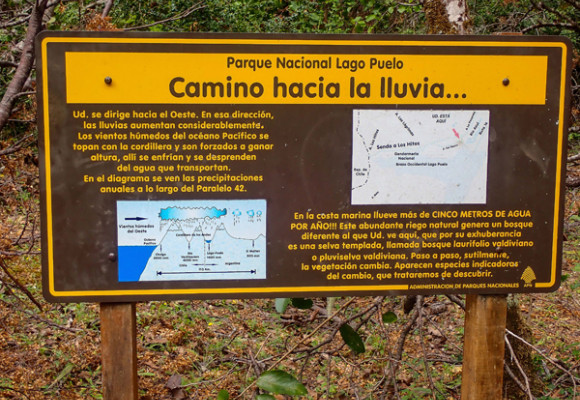 La Cuenca del Río Puelo, un rincón escondido de la Patagonia