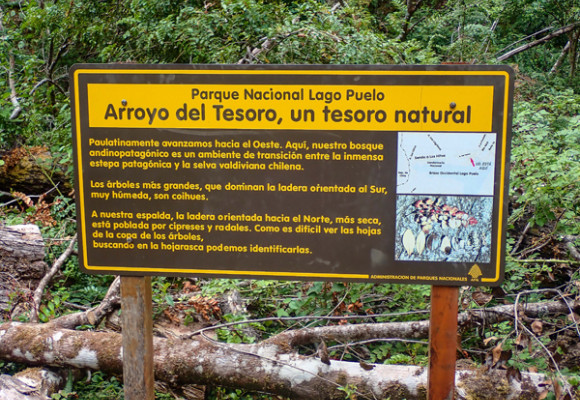 La Cuenca del Río Puelo, un rincón escondido de la Patagonia