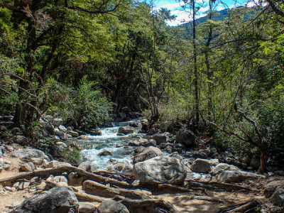 La Cuenca del Río Puelo, un rincón escondido de la Patagonia