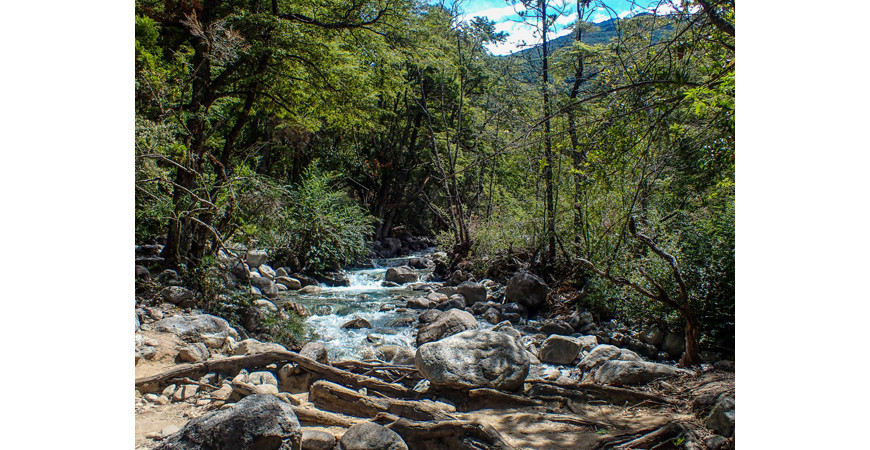 La Cuenca del Río Puelo, un rincón escondido de la Patagonia