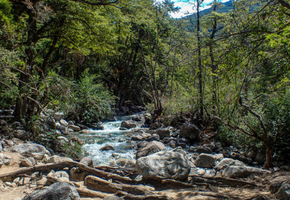 La Cuenca del Río Puelo, un rincón escondido de la Patagonia