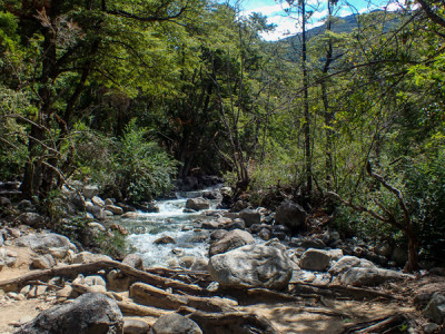 La Cuenca del Río Puelo, un rincón escondido de la Patagonia