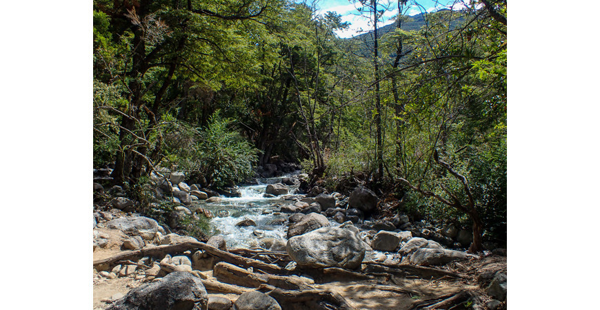 La Cuenca del Río Puelo, un rincón escondido de la Patagonia