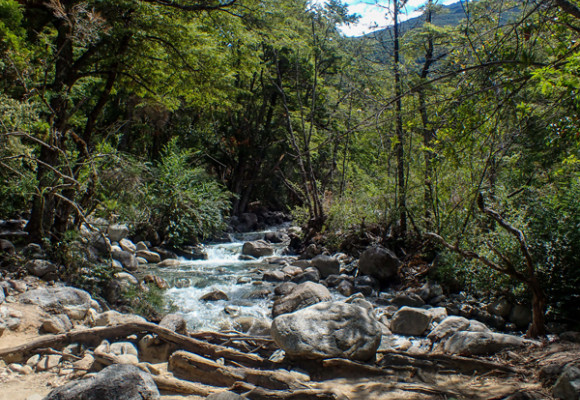 La Cuenca del Río Puelo, un rincón escondido de la Patagonia
