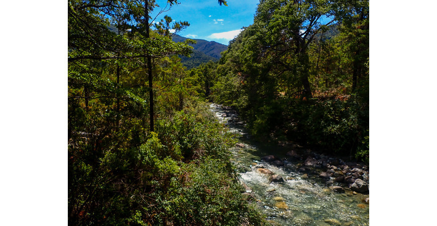 La Cuenca del Río Puelo, un rincón escondido de la Patagonia
